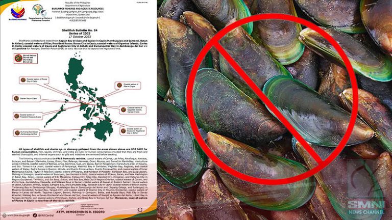 Baybayin Sa Bansa Nanatiling Apektado Ng Red Tide Toxinbfar