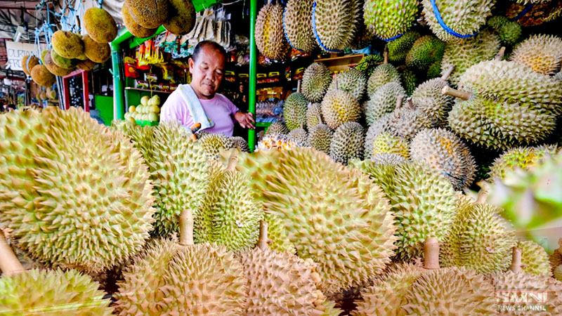 Resulta ng pagbisita ni PBBM sa China, durian farmers sa Davao City, dumadami