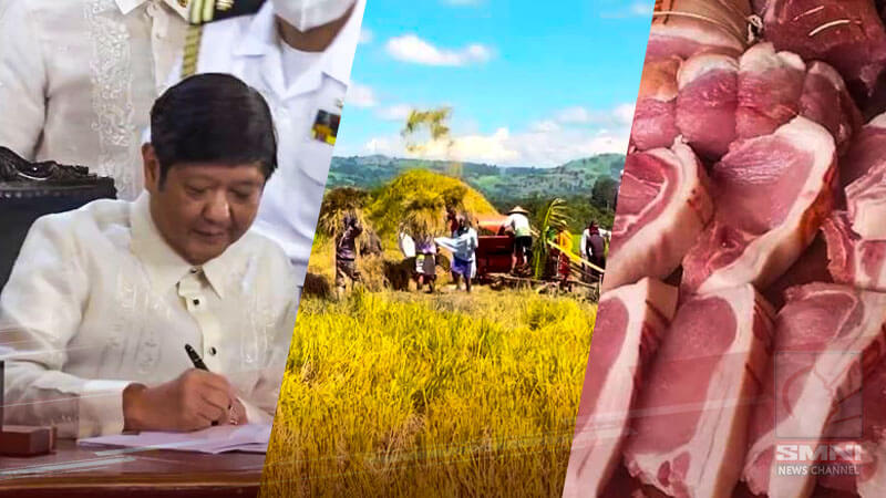 Mababang taripa sa bigas, mais at karne ng baboy, hanggang katapusan ng 2023