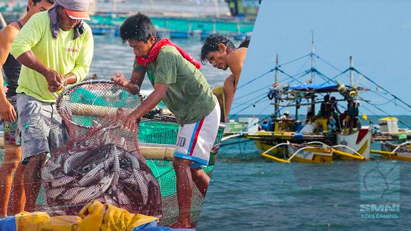 Malinaw na fishing access ng mga Pilipinong mangingisda sa Scarborough at Spratlys, mahalaga –research fellow