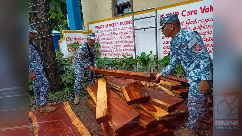 13 pirasong undocumented lumber, nasabat sa Romblon