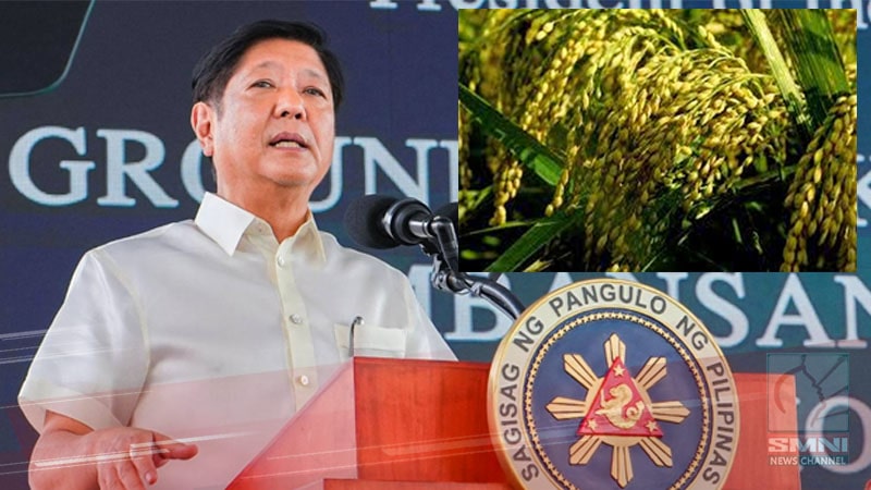 Paggamit ng hybrid rice bilang alternatibo sa mas mataas na pag-aani ng bigas, inaprubahan ni PBBM