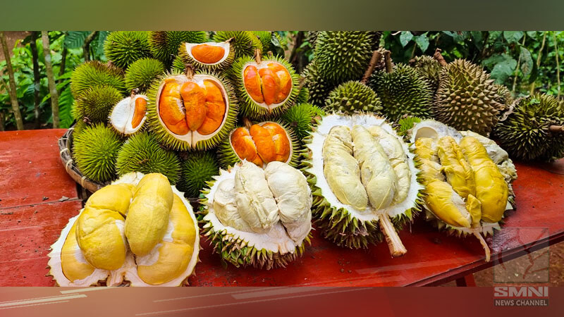 Pilipinas, mag-i-export na ng durian sa China simula Marso