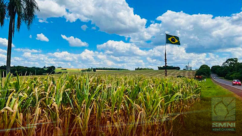 Brazil May Overtake US As Top Corn Exporter In 2023