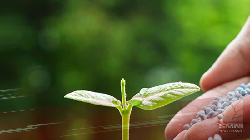 Fertilizer at seed subsidy para sa mga magsasaka, kailangan mai-release nang maaga