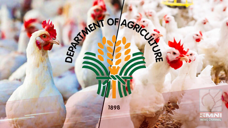 Poultry Products Mula Sa Chile Ban Sa Pilipinas