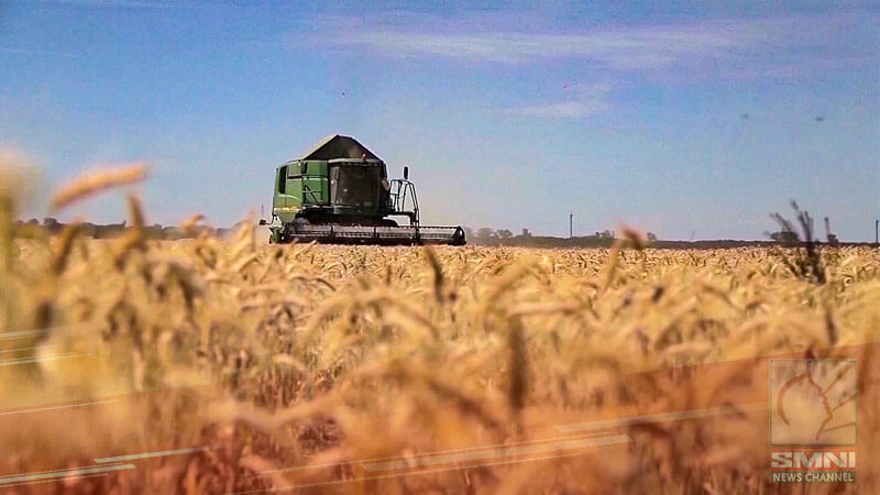 Black Sea grain deal ‘terminated’; Wheat prices surge