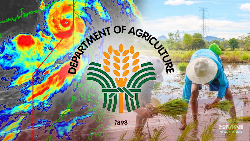Pinsala ng Bagyong Egay at habagat sa sektor ng agrikultura, higit P53-M na—DA