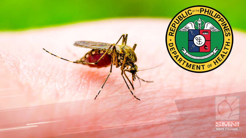 Malaria cases sa Puerto Princesa, umakyat na sa 31