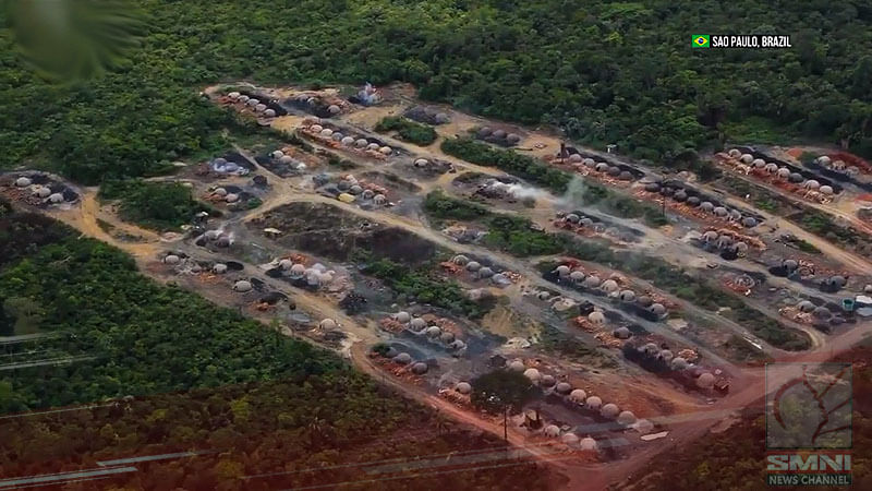 Deforestation in Brazil’s Amazon falls to lowest level since 2017—report