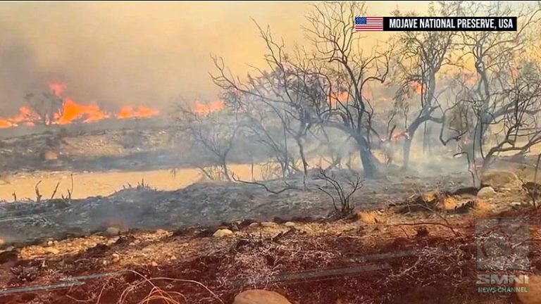 massive-york-fire-continues-to-ravage-california-s-mojave-desert