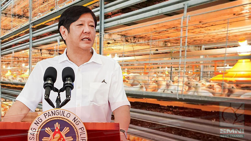 Mas maraming industriyalisadong agri facility, magtitiyak ng suplay ng manok tuwing holidays—PBBM