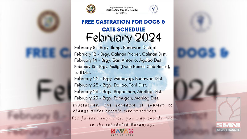 Davao CVO announces February schedule of free castration for dogs and cats
