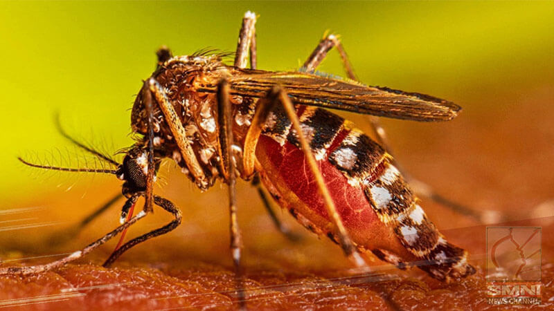 20 sa 24 na probinsiya sa Peru, isinailalim sa health emergency dahil sa dengue