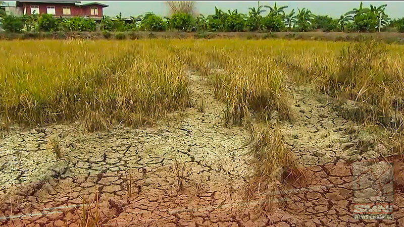 Pinsala ng El Niño sa sektor ng agrikultura, nasa P1.75-B na