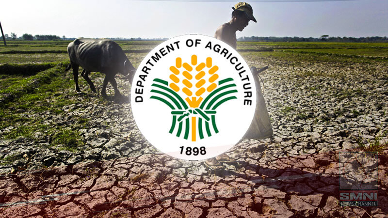 Pinsala ng El Niño sa sektor ng agrikultura, pumalo pa sa P2.63-B—DA