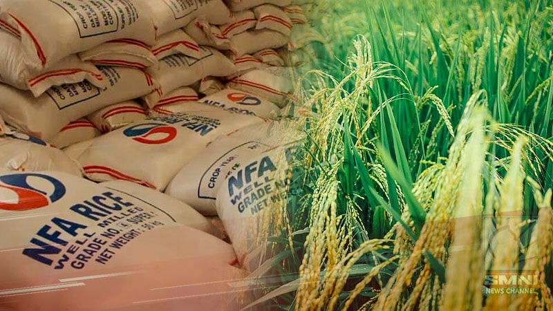 NFA, late na kung bumili ng palay; Target na buffer stock, imposibleng maabot—agri group