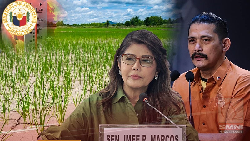 Hakbang ng gobyerno vs El Niño phenomenon, pinasusuri sa Senado