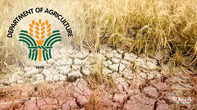Pinsalang dulot ng El Niño sa livestock industry, higit P10-M na—DA