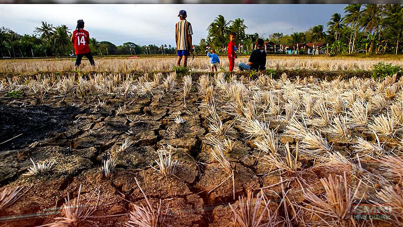 Pinsala ng El Niño sa agri sector, nasa P9.5-B—DA