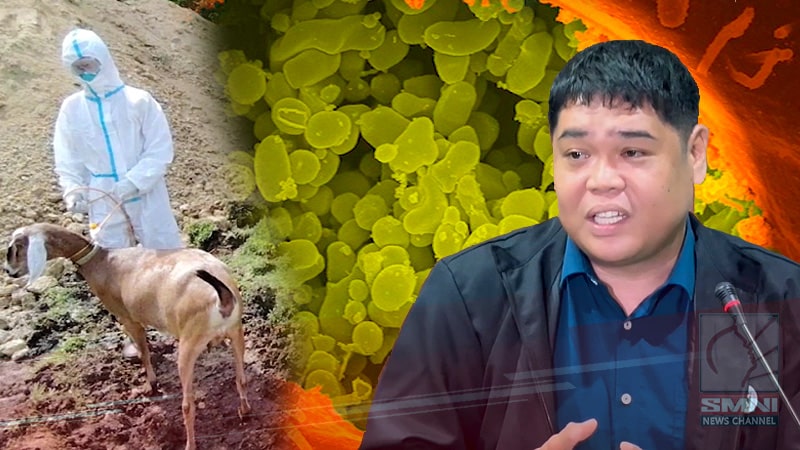 P10-M worth of US-imported goats test positive for Q-Fever disease