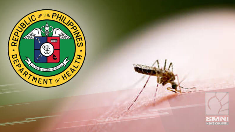 Dengue cases, posibleng tataas ngayong Hulyo—DOH