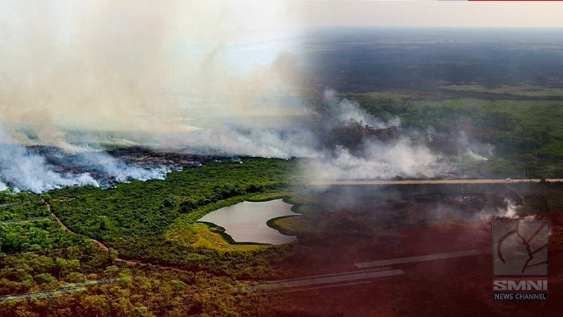 Inferno in Pantanal: Wildfires burn world’s largest tropical wetland in Brazil