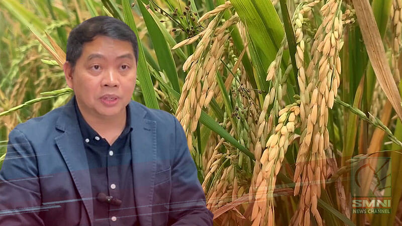 Ex-DA Chief worried over surge of imported rice in the country
