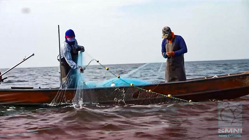 BFAR, wala pang natatanggap na ulat na pinipigilan na ang Pinoy fishermen sa WPS