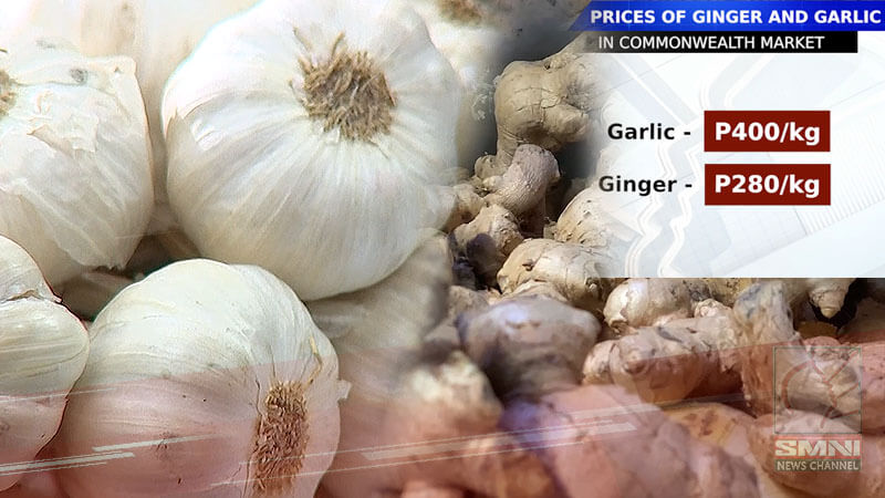 Prices of ginger, garlic spiked up to P400/kg