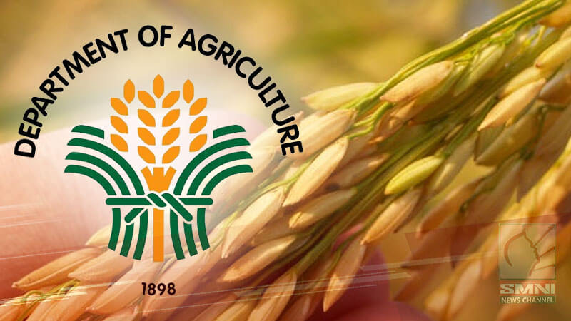 Target production ng palay, pinatututukan ng DA