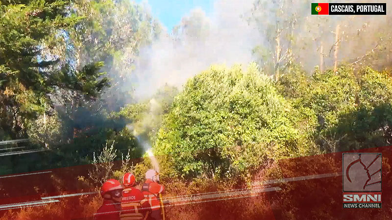 Firefighters combat major blaze in Portugal