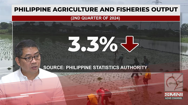 PH agricultural output for Q2 down by 3.3%—PSA