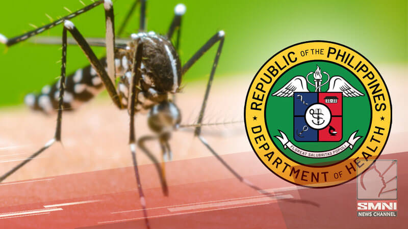 Dengue cases sa Western Visayas, umabot na ng 10K; mga nasawi, 20 na