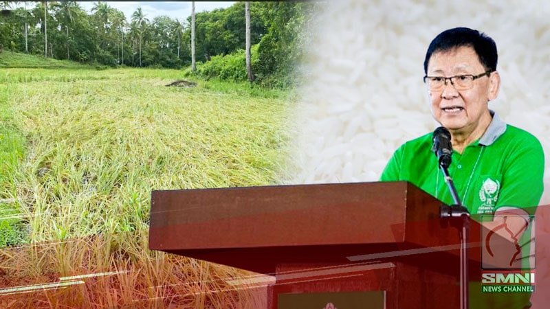 3-araw na suplay ng bigas, nawala dahil sa Bagyong Kristine—FFF