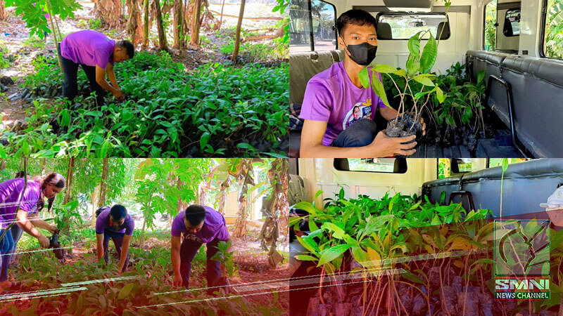 SPM volunteers prepare Toog Tree seedlings for 'One Tree, One Nation ...