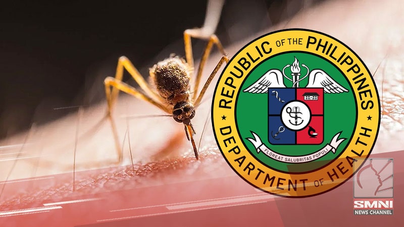 Iloilo nakapagtala na ng 400 dengue cases mula Enero-Pebrero 1, 2025
