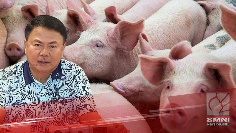 Bakuna vs. ASF, dapat libreng ibigay ng gobyerno sa mga backyard hog raiser—AGAP Partylist