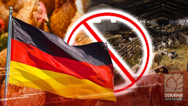 DA ipinagbabawal muna ang importasyon ng anumang animal goods mula Germany