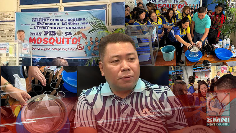 Halos 700 lamok at kiti-kiti nai-turn over ng mga residente sa Brgy. Addition Hills, Mandaluyong