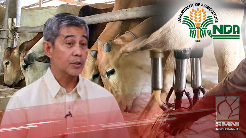 Produksiyon ng gatas sa Pilipinas lubhang napakababa—NDA administrator