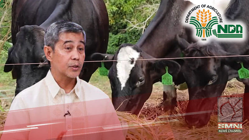 Importasyon ng mga dairy animal, tugon sa mababang produksyon ng gatas sa bansa