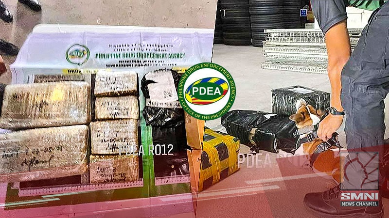 Halos P400K halaga ng marijuana nakumpiska sa isang parcel sa South Cotabato