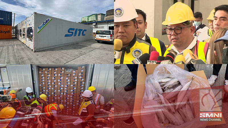P200-M halaga ng ipinuslit na isda, nasabat ng BOC at DA sa pantalan sa Maynila