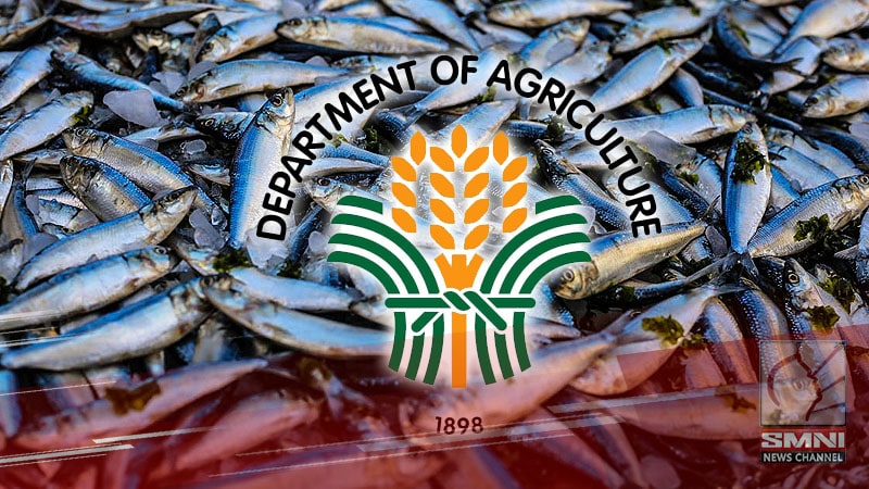 Presyo ng isda ‘stable’ bago ang Semana Santa—DA