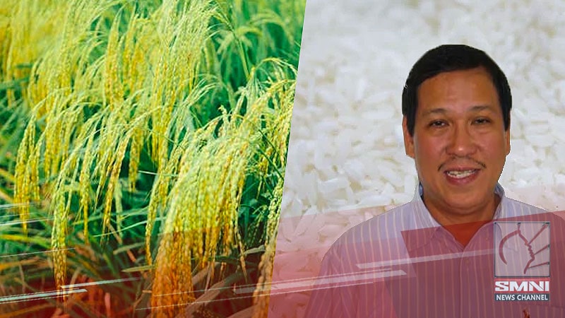 Importers lalong pinayaman ng pamahalaan dahil sa pagtapyas sa taripa ng imported na bigas—FFF