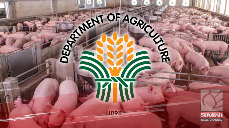 DA mamamahagi ng 30K baboy sa hog farms
