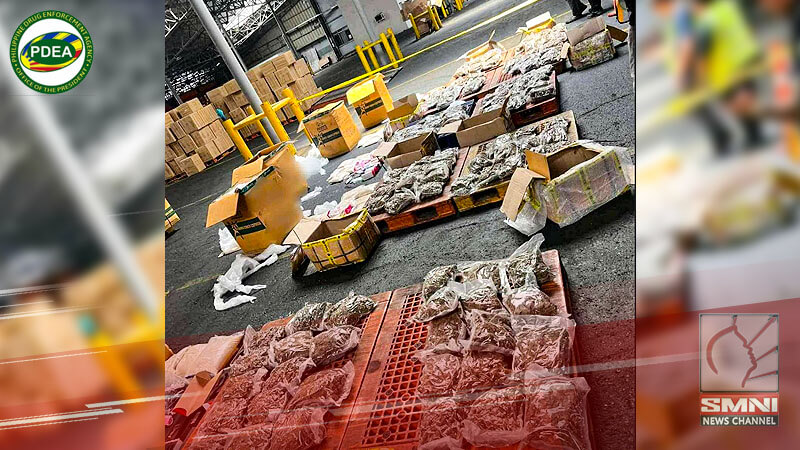 P101M na halaga ng kush, nasabat sa Tondo