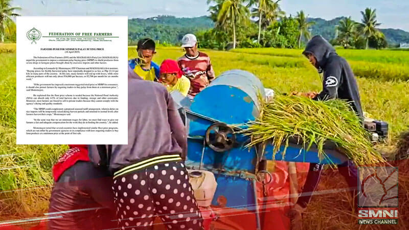 Federation of Free Farmers, nanawagan ng pagpapatupad ng Minimum Palay Buying Price sa tuyong palay