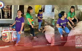 Negros Occidental